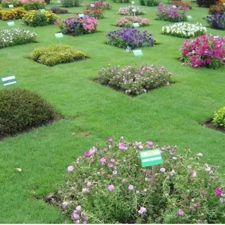 Studio Gare - Jardin Des Plantes - Wifi & Calme Nantes Exterior photo