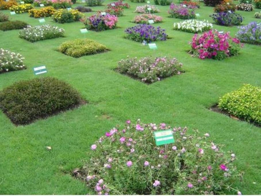 Gare - Jardin Des Plantes - Wifi & Calme * Nantes